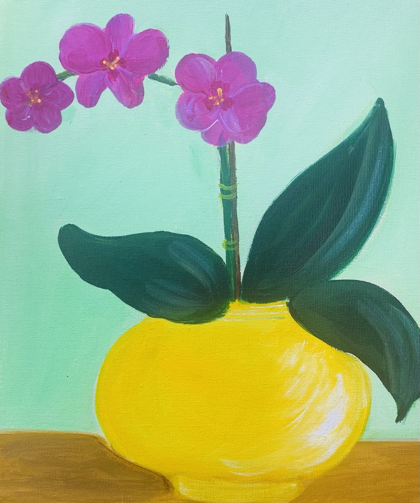 Orchid
