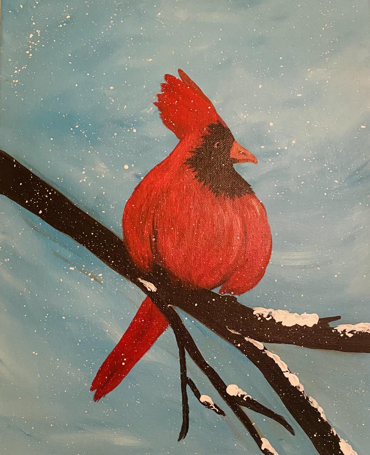 Cardinal in Winter