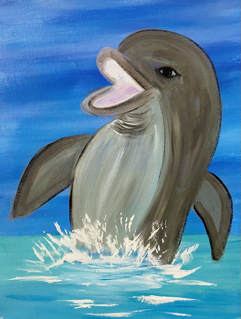 Dolphin Fun