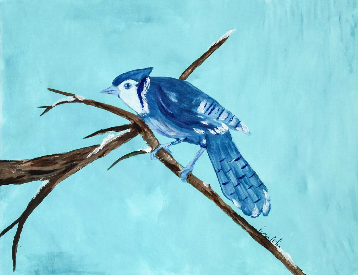 Winter Blue Jay