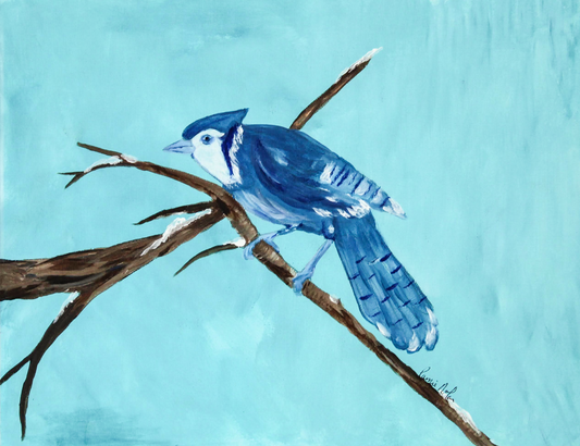 Winter Blue Jay - For Sale