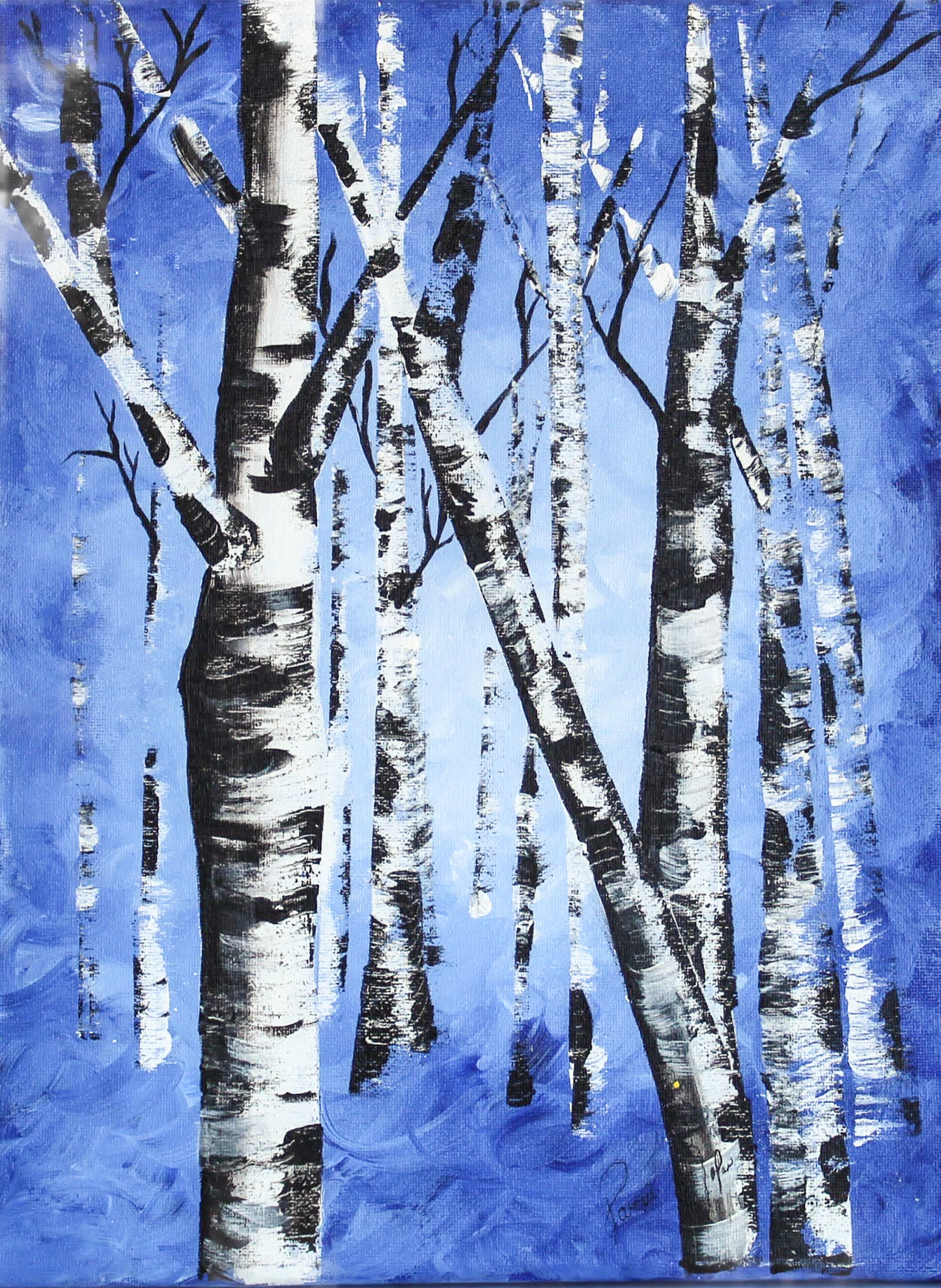 Silver birch