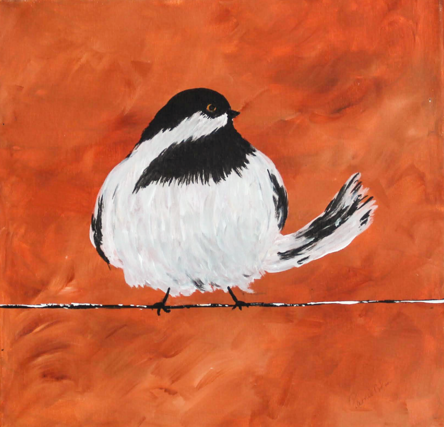 Birds click here