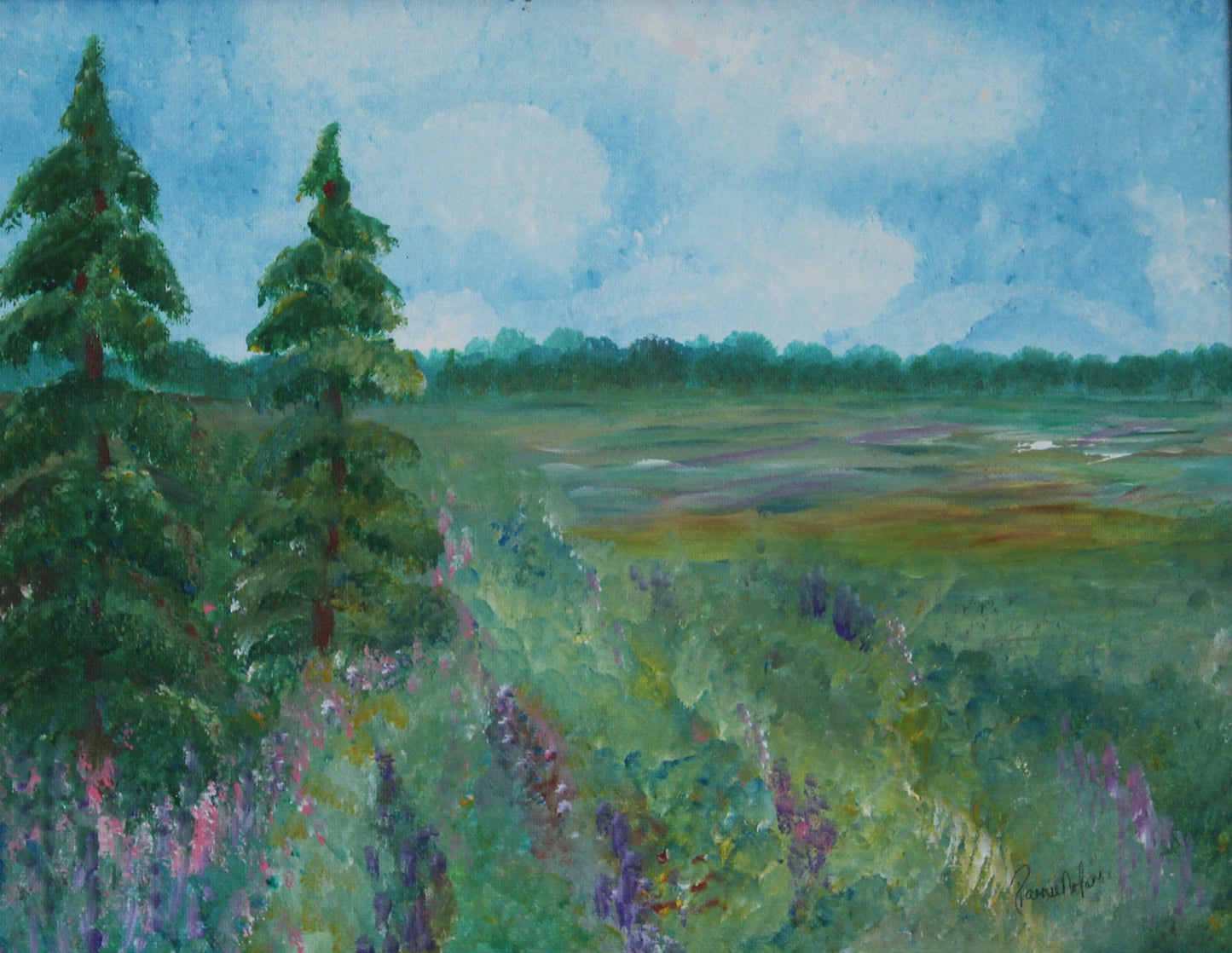 Field of Wild Flowers