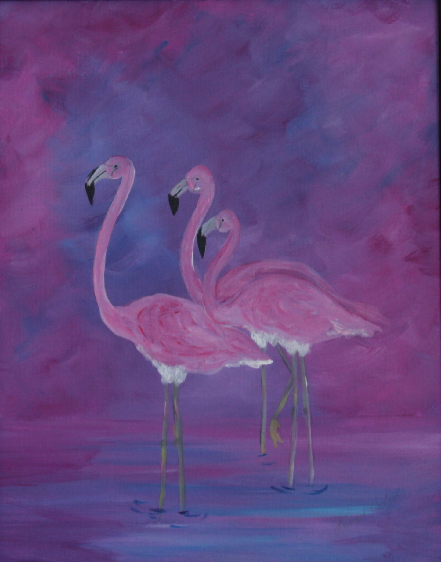 Flamingos