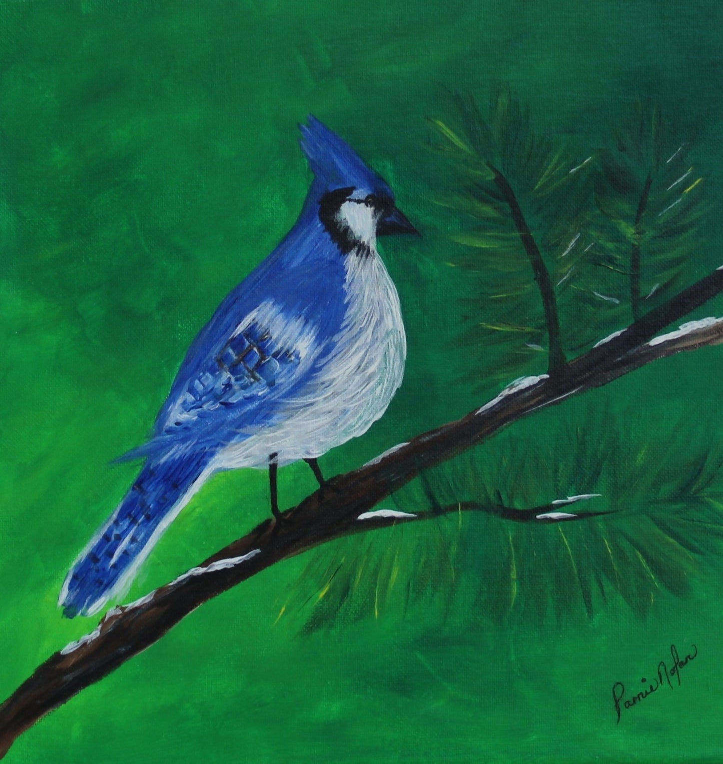 Blue Jay