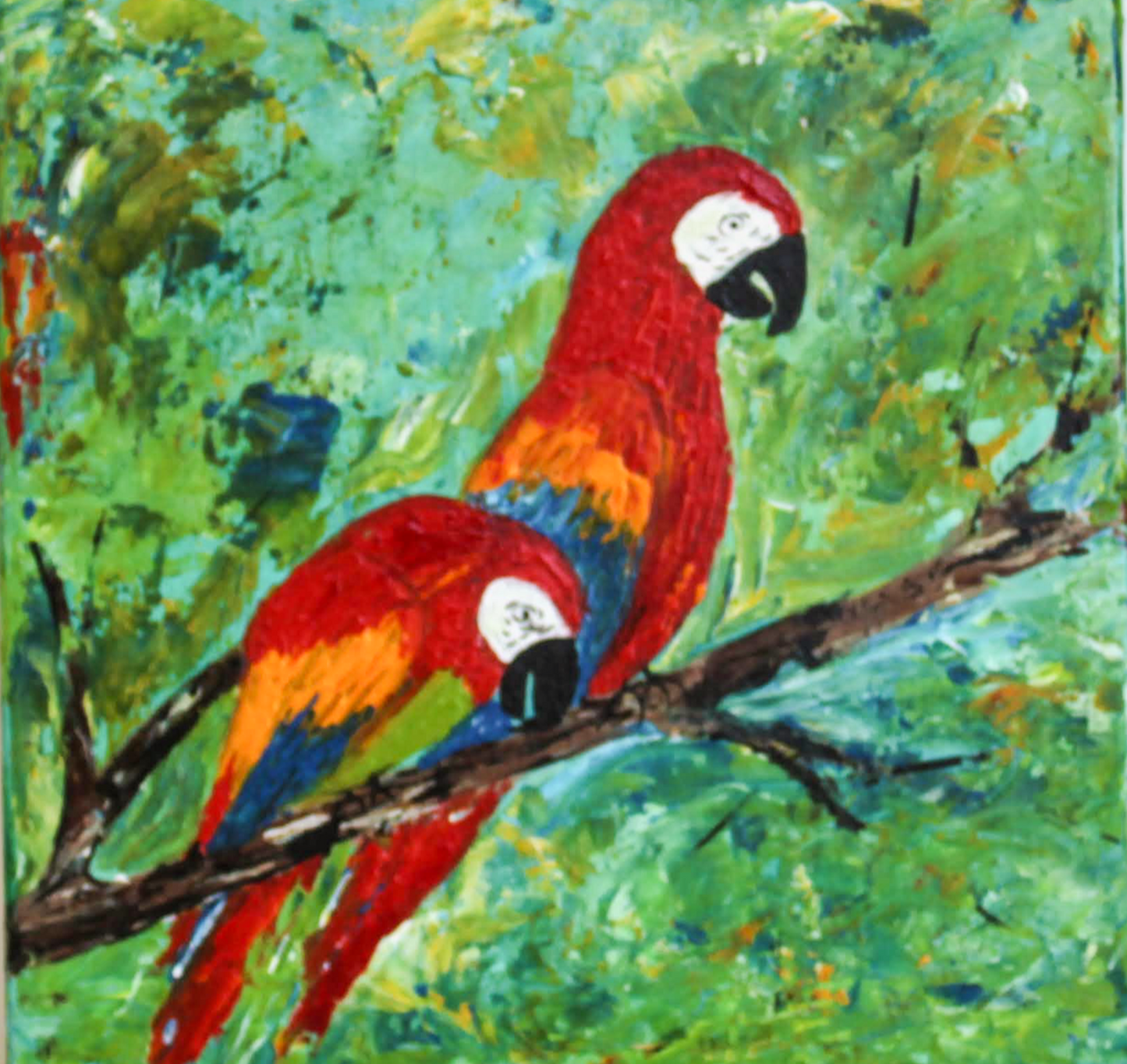 Birds click here