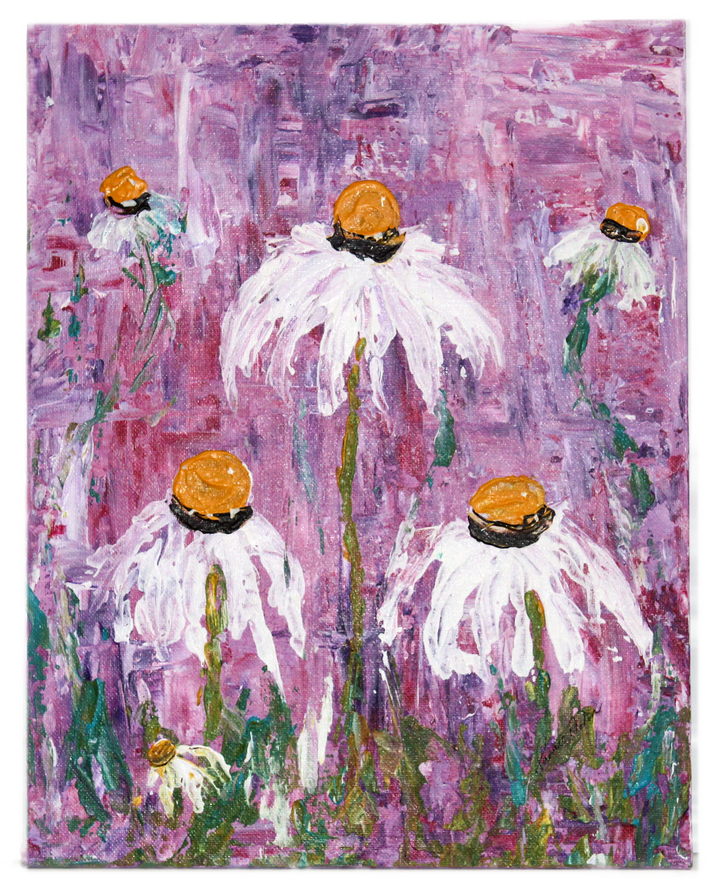 Wild Flowers