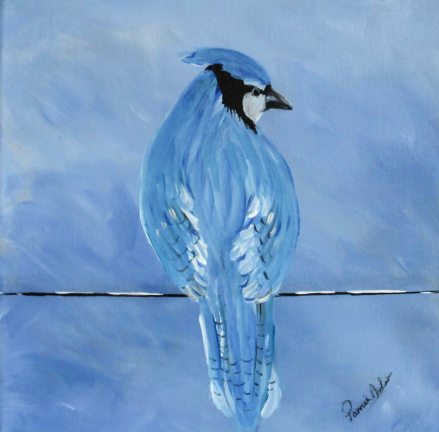 Blue Jay