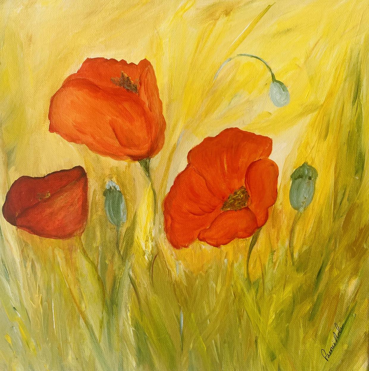 Poppies For Sale
