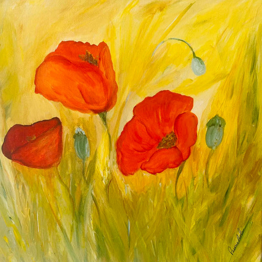 Poppies For Sale
