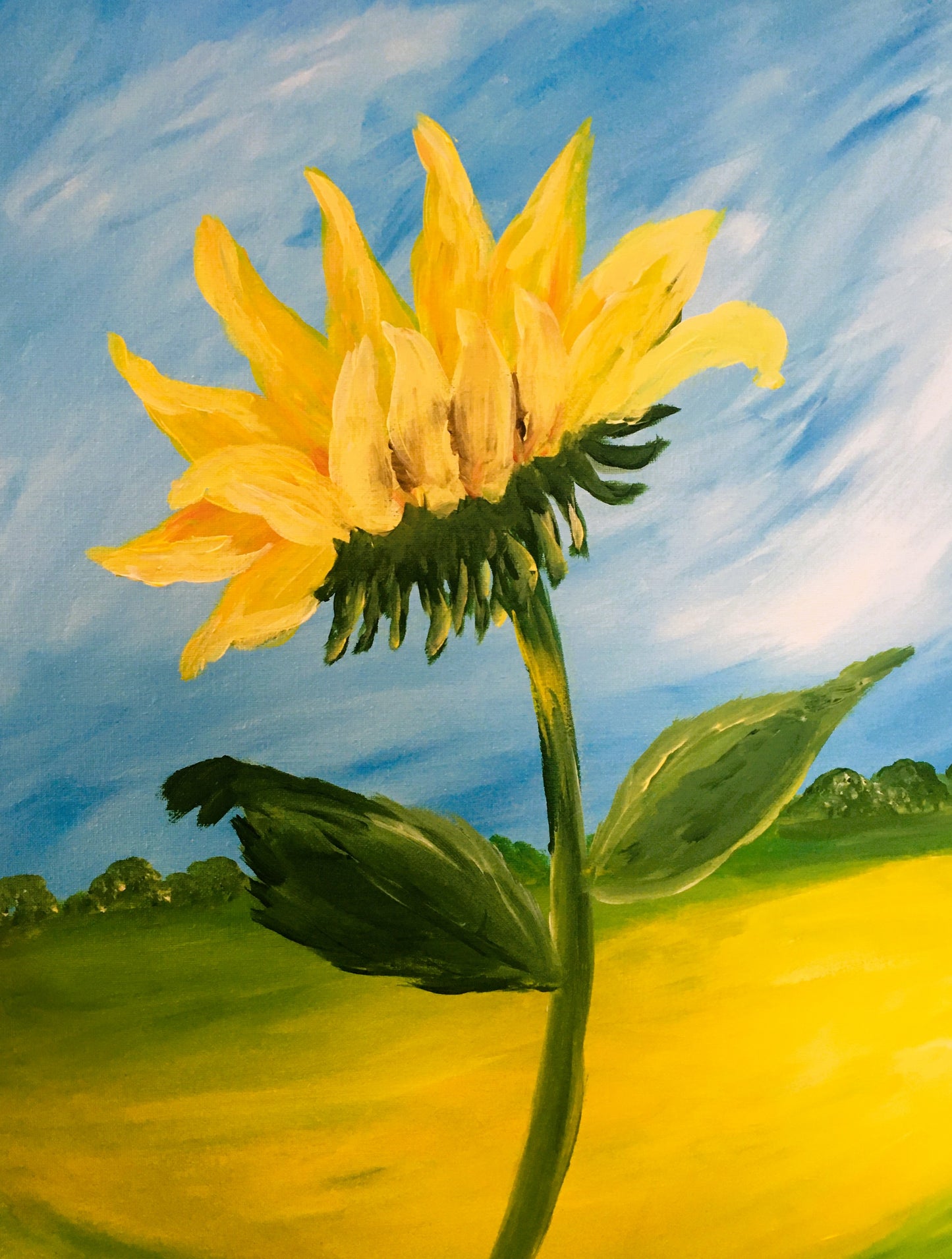 Tall Sunflower