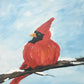 Birds click here