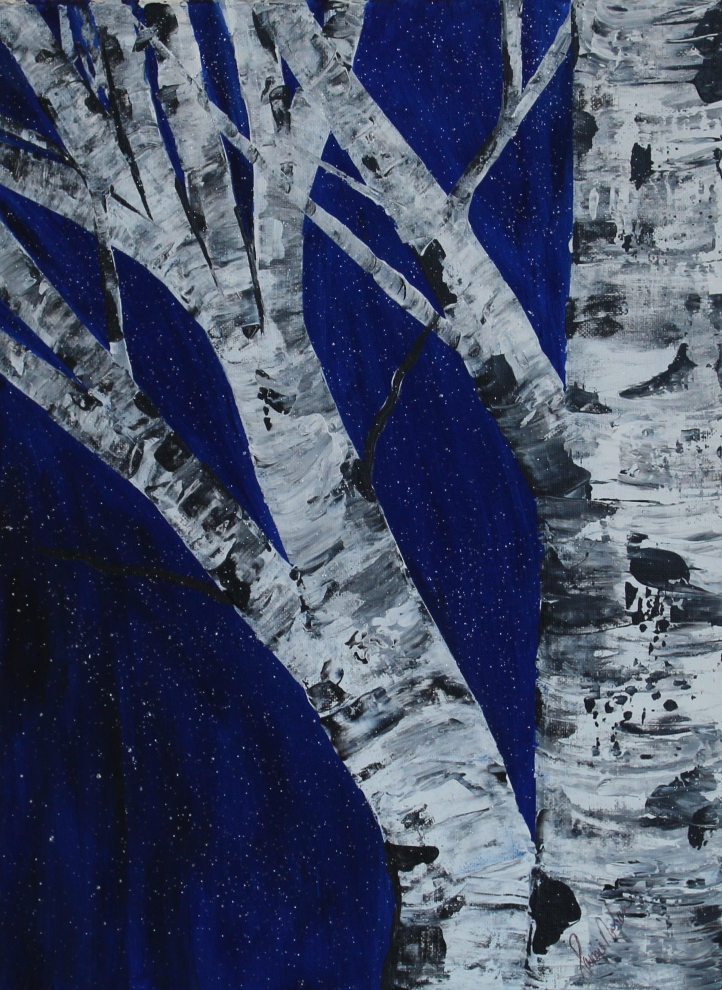 Midnight Birch