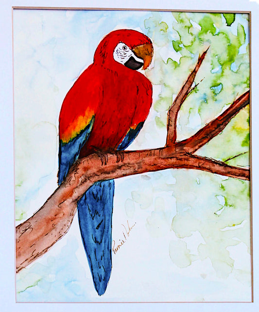 Tropical Parrot