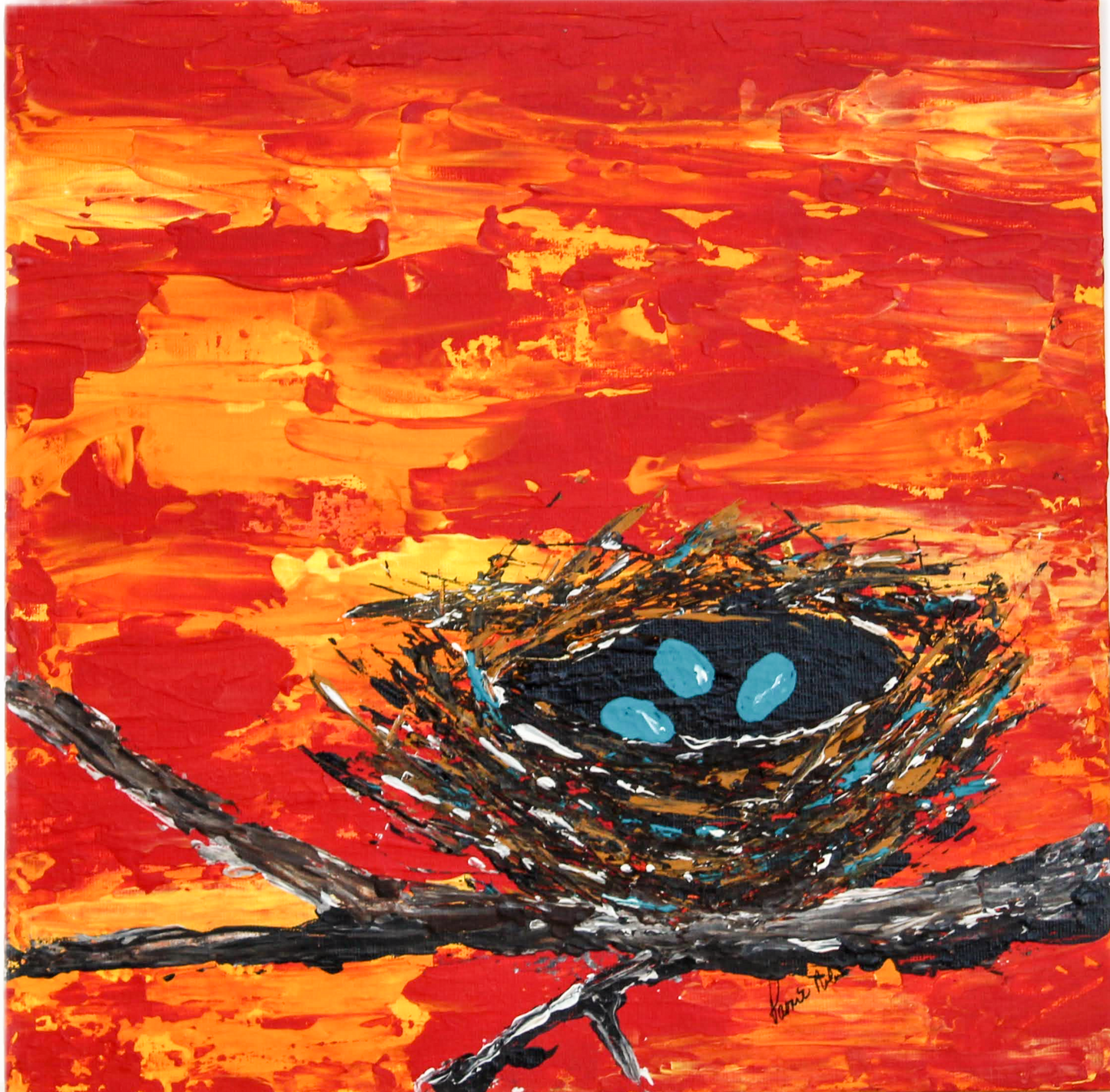 Birds Nest Sunset