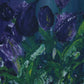 Flowers - Click here for more flowers