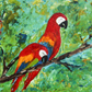 Birds click here